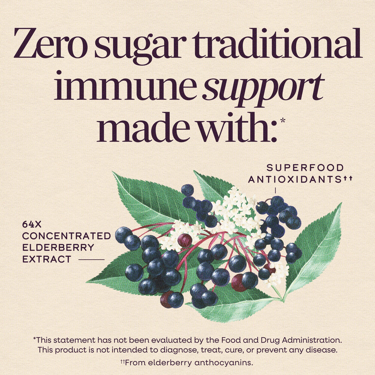 Nature's Way Sambucus Zero Sugar Traditional Immune Syrup