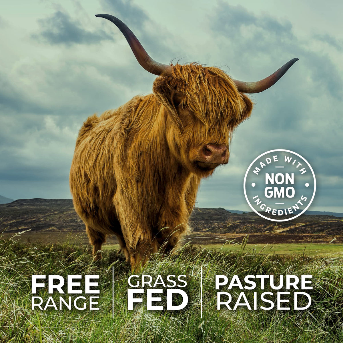 ForestLeaf Beef Organ Supplement - Grass Fed & Pasture Raised - Total