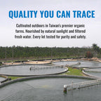 On Target Living Organic Spirulina Chlorella