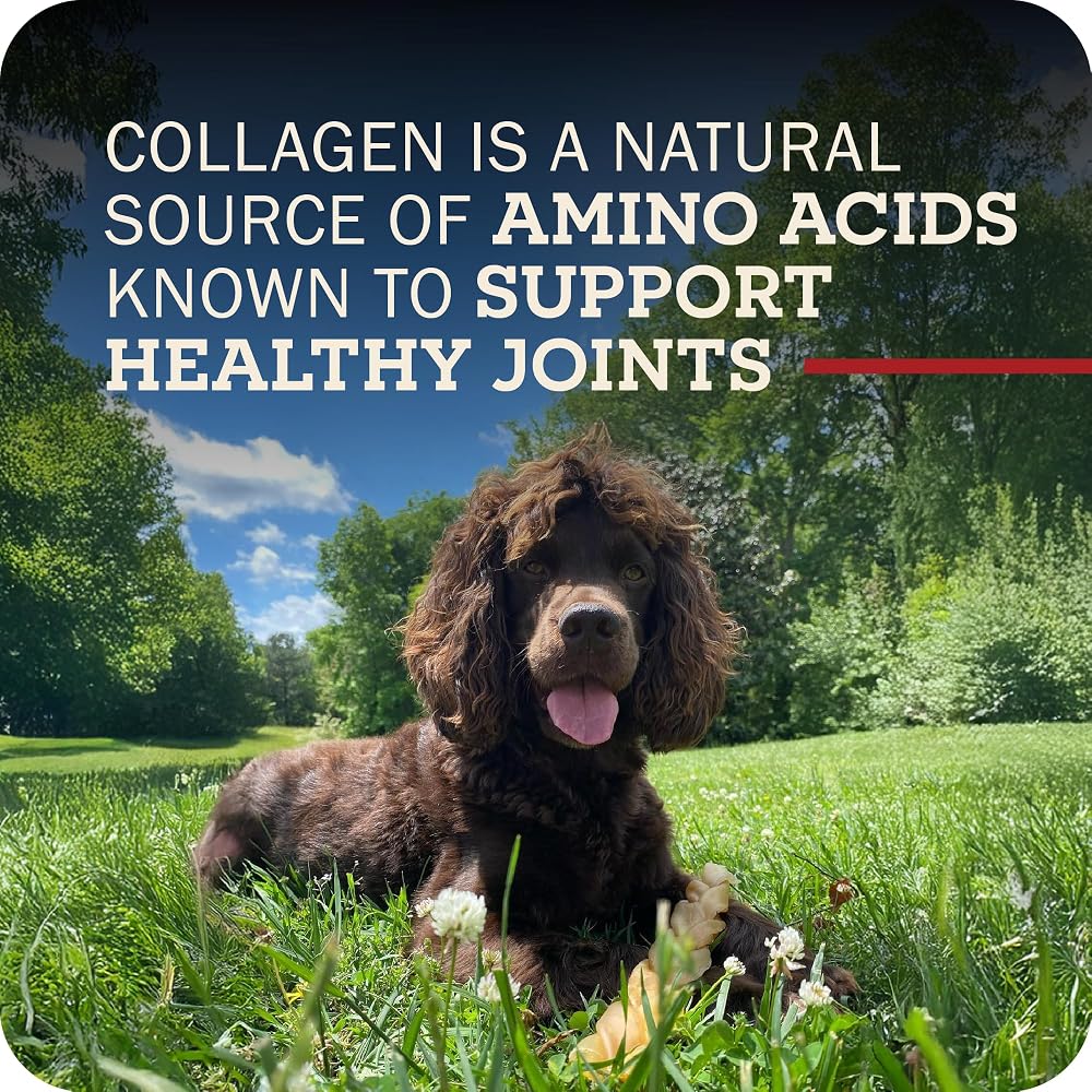 Redbarn 30" Collagen Sticks Dog Treat - image 8