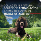 Redbarn 30" Collagen Sticks Dog Treat - image 8