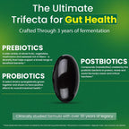 Essential Formulas Dr. Ohhira's Probiotics Original Formula - 70 Capsules - image 3