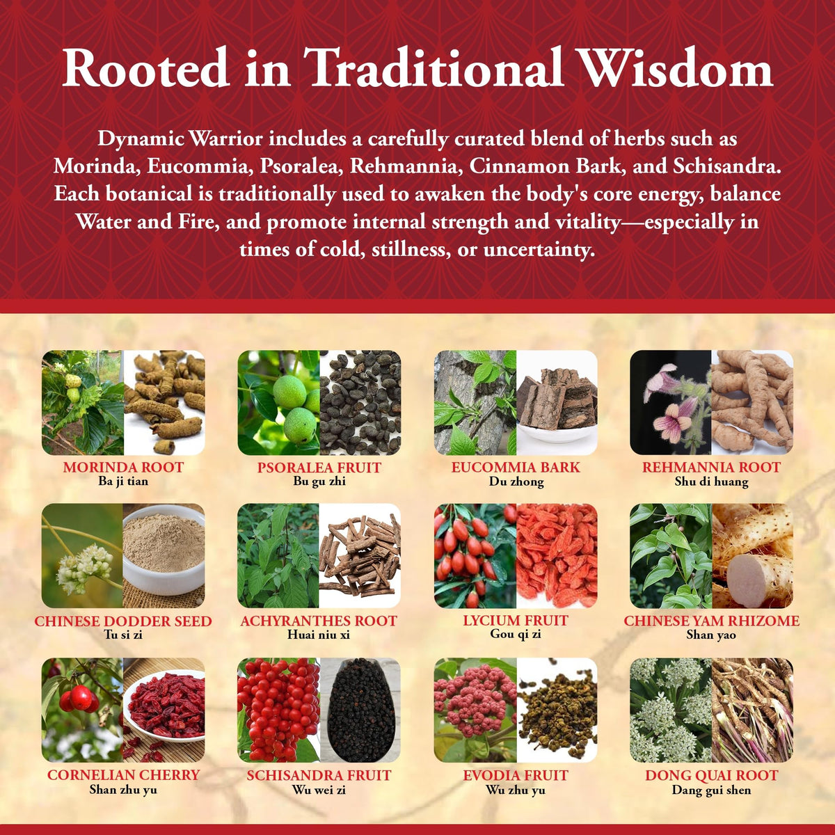 Kan Herbs Dynamic Warrior Traditional Chinese Herbal Formula - 120 Tablets - image 4