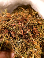 Organic Bio Herbs St. John's Wort Dried Herb - 2 oz - image 2