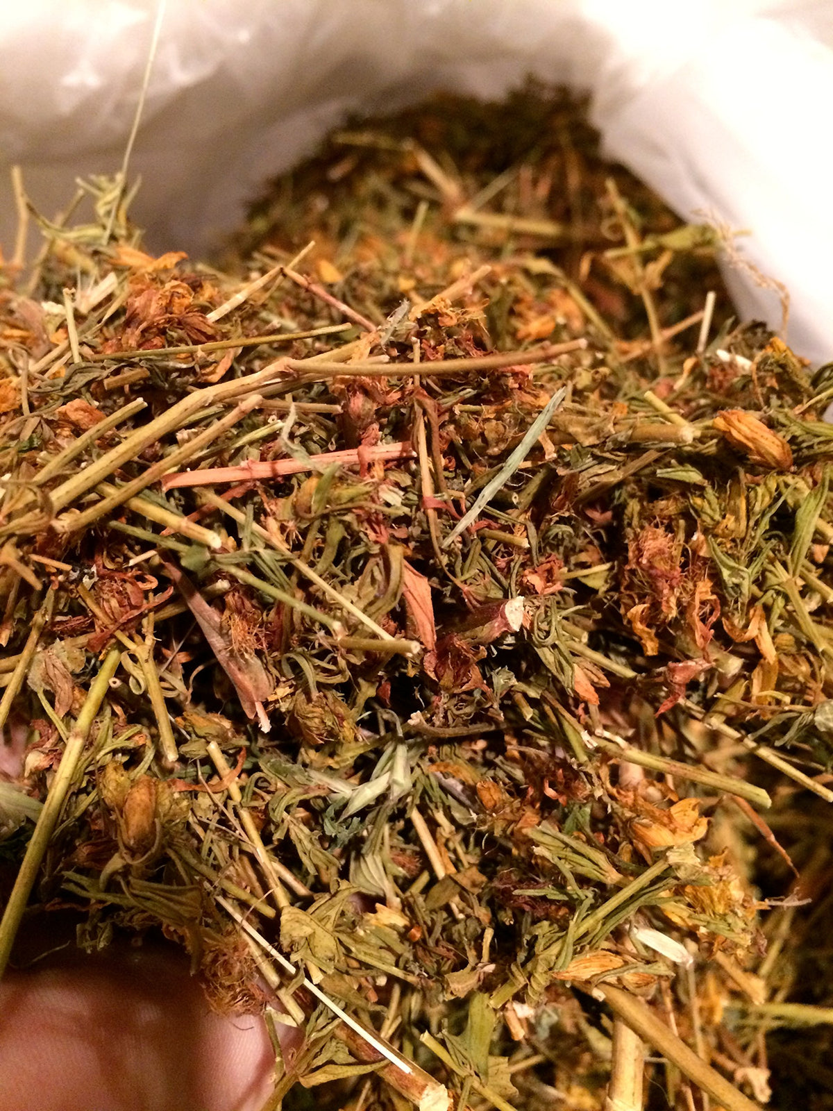 Organic Bio Herbs St. John's Wort Dried Herb - 2 oz - image 2
