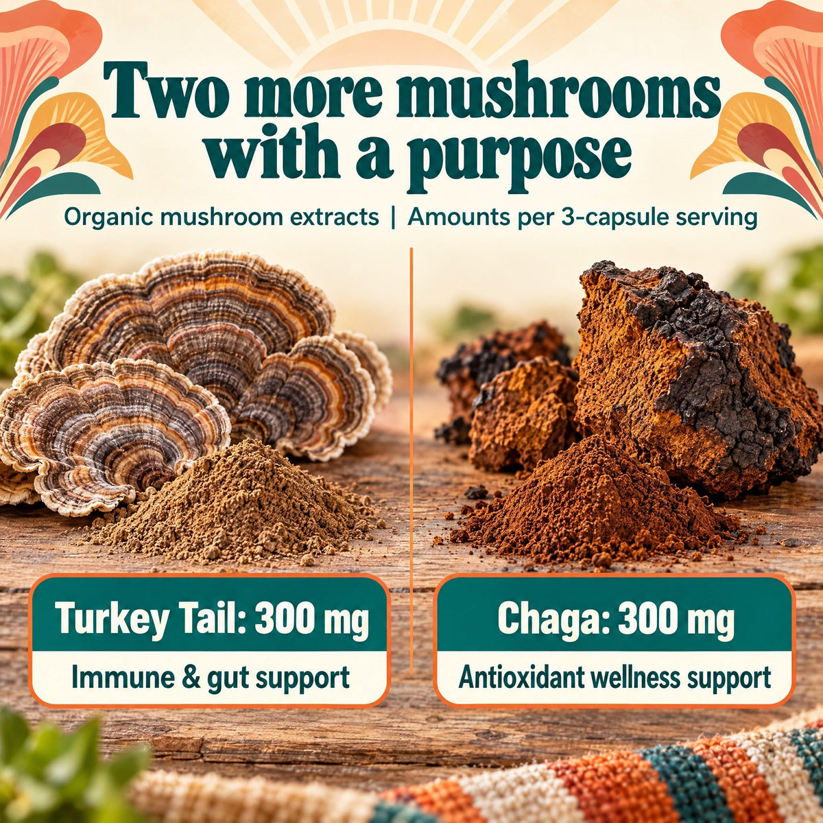 Hippie Farms 5 Mushrooms Reserve Blend with Lion's Mane - 90 Capsules - image 5