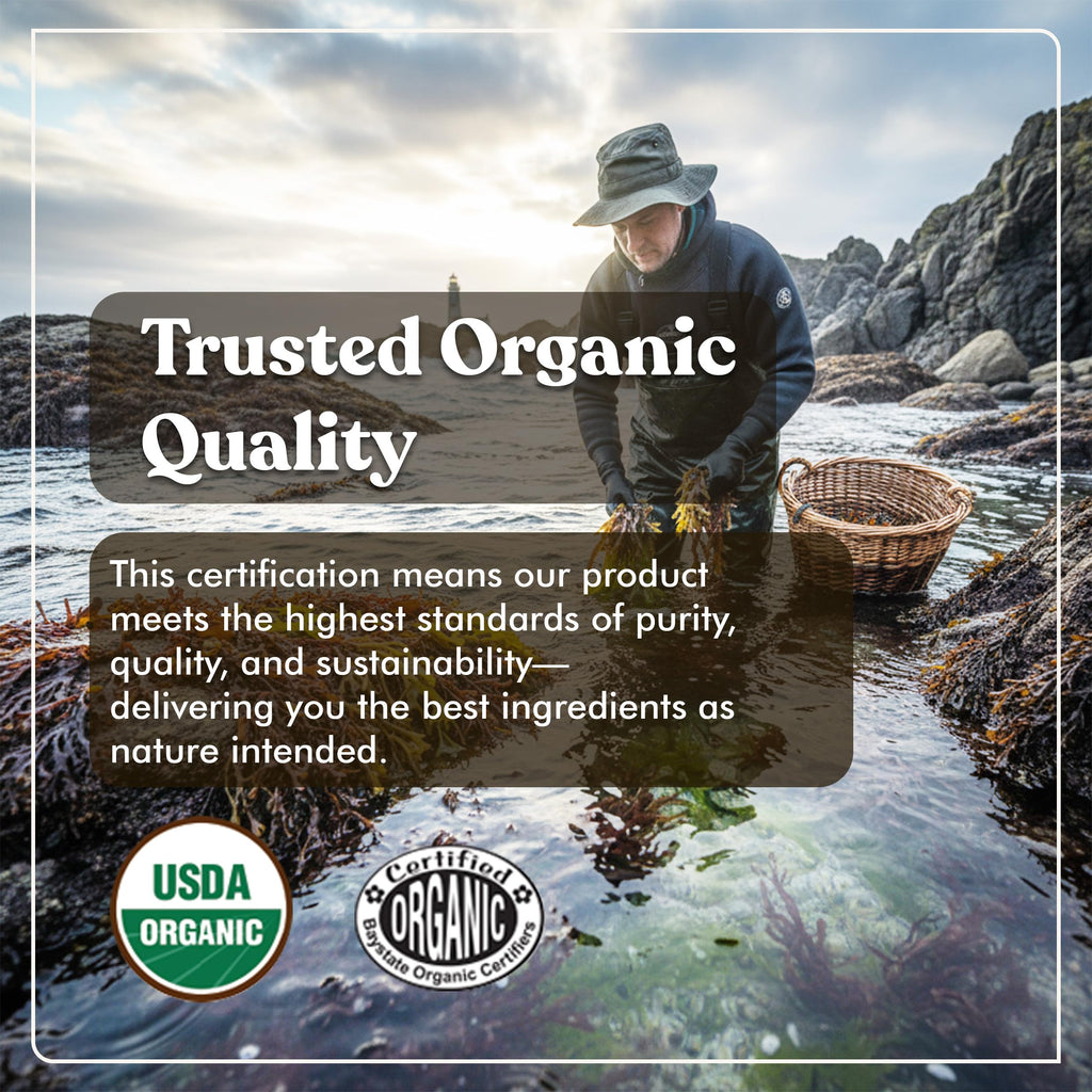 American Standard Supplements Organic Sea Moss Bladderwrack Burdock Root - image 2