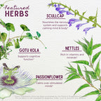 WishGarden Herbs Attention Ally Focus Friend for Kids & Teens - 2oz - image 4