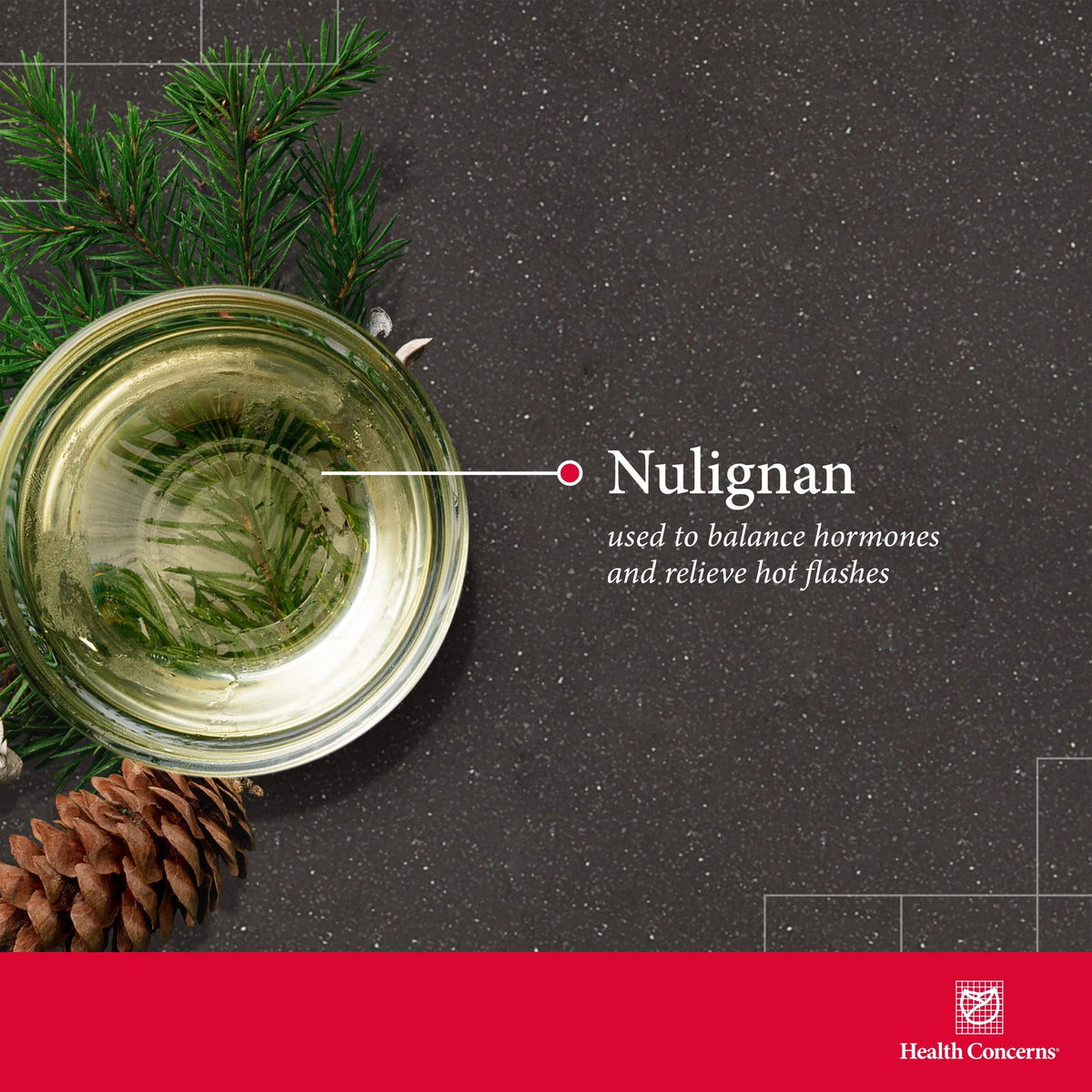 Health Concerns NuLignan Menopause Relief & Hormonal Balance - 90 Capsules - image 3