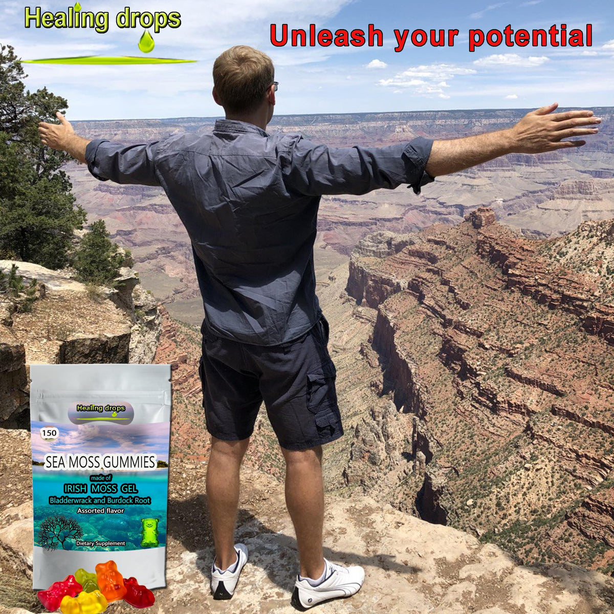 HEALING DROPS Irish Sea Moss Gummies