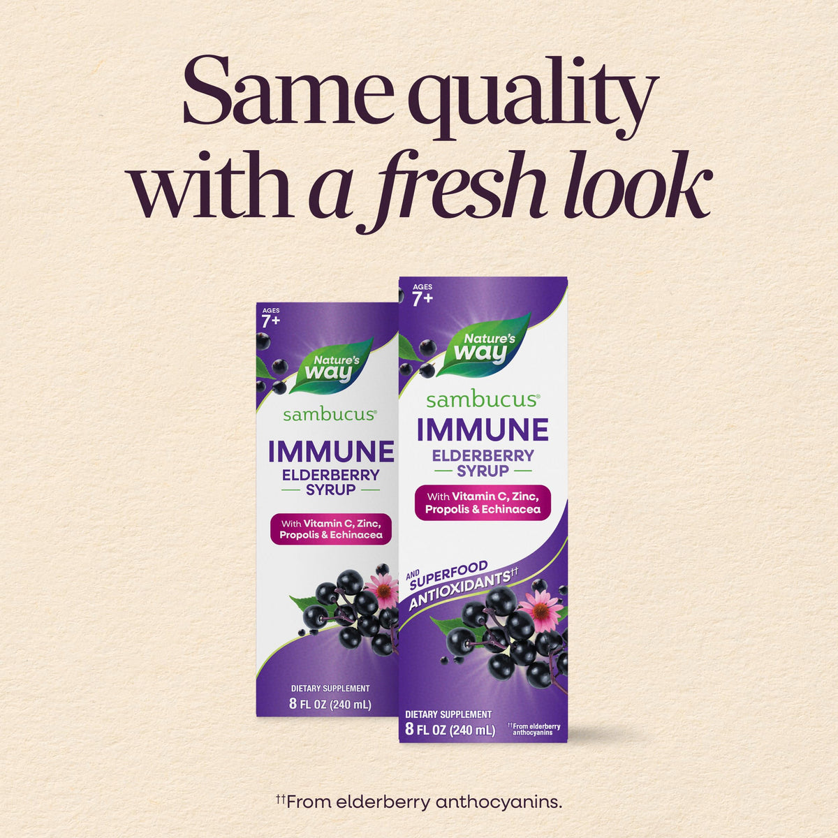 Nature's Way Sambucus Immune Elderberry Syrup with Vitamin C & Zinc - 8 Fl Oz - image 2