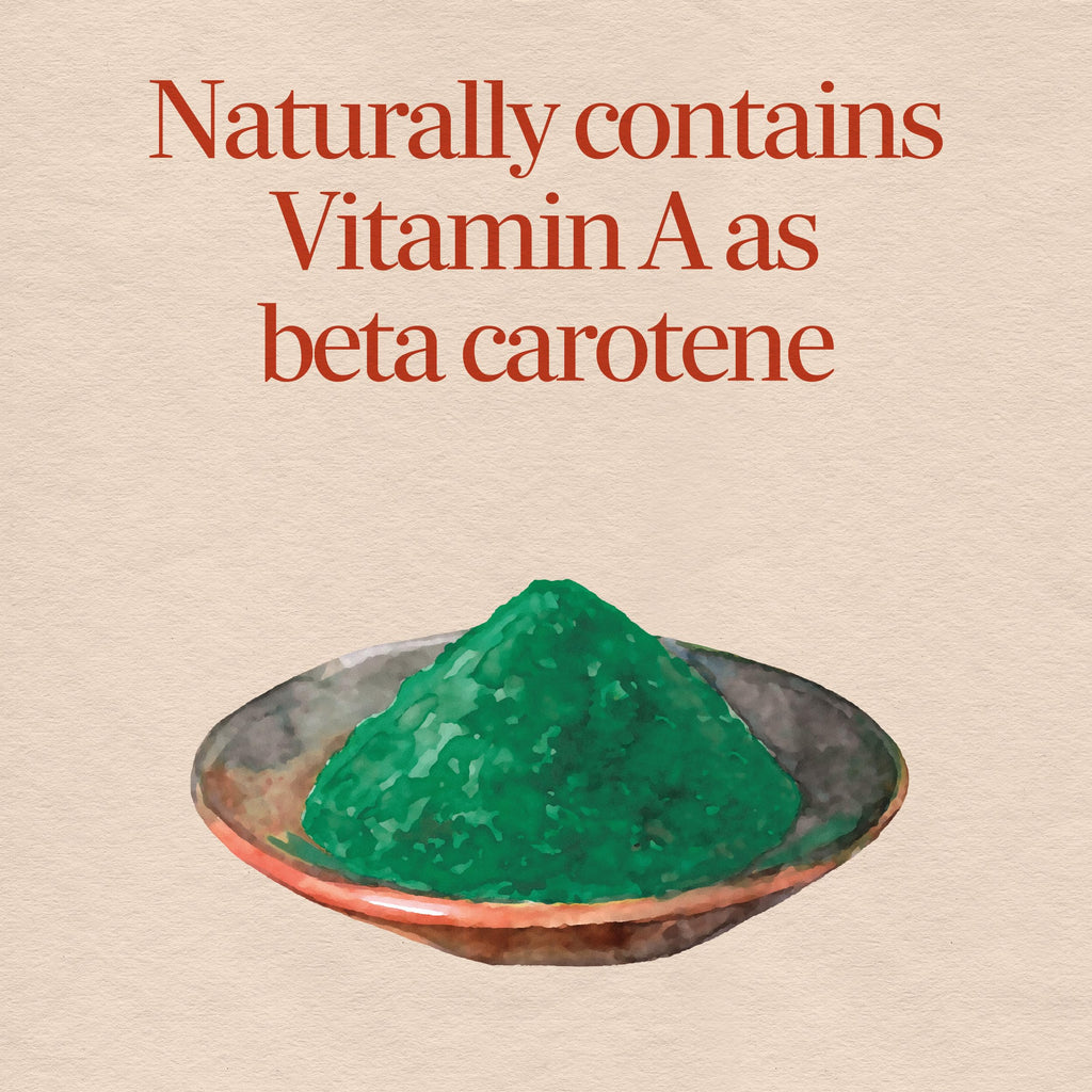 Nature's Way Spirulina Capsules Immune Support - 100 Capsules - image 3
