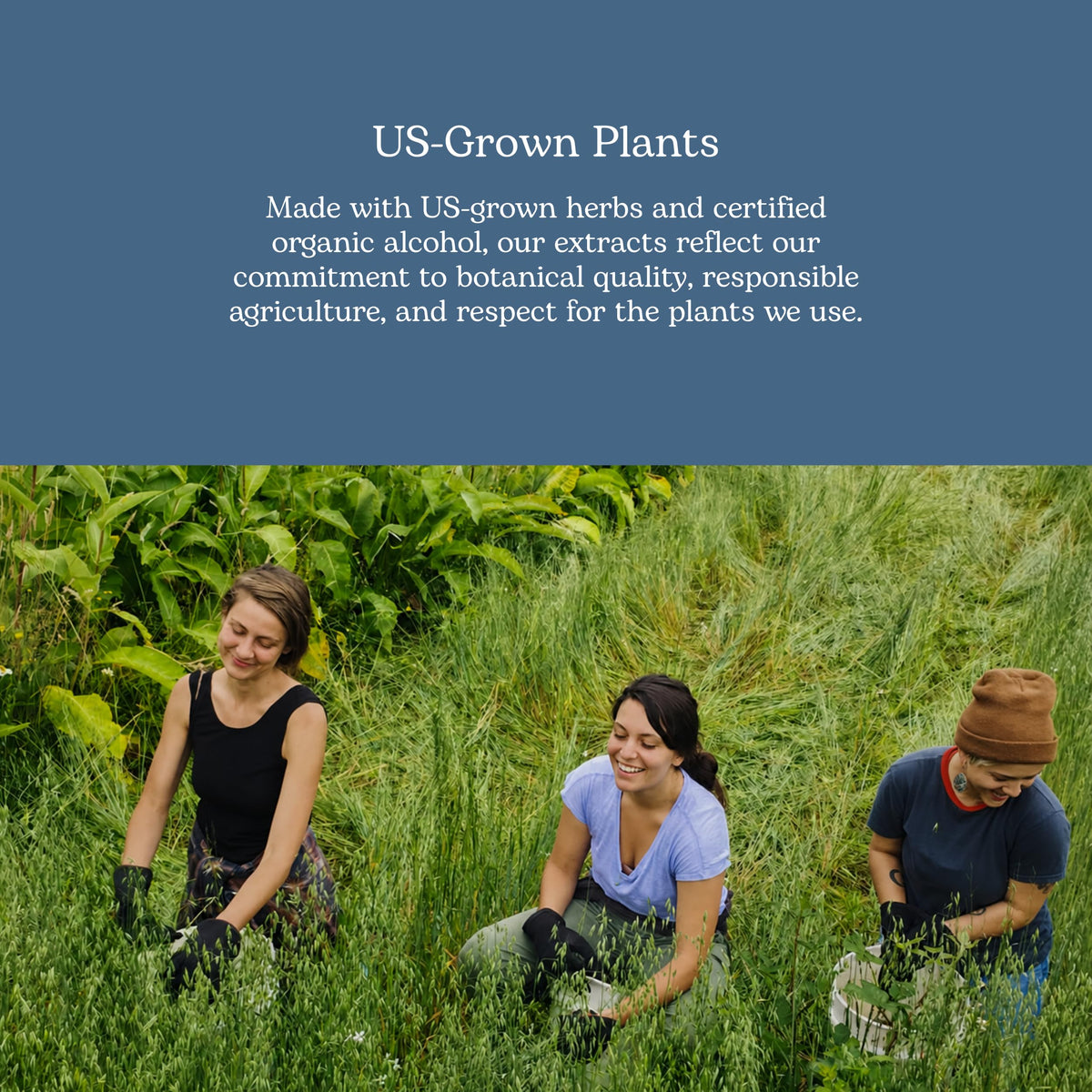 Eclectic Institute Motherwort Extract Circulatory Support - 2 fl oz - image 6
