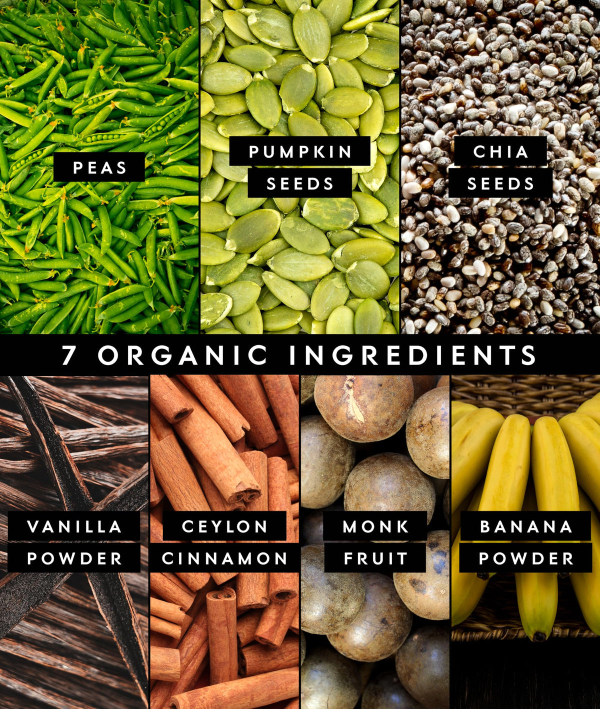 Truvani Organic Plant Based Protein Powder