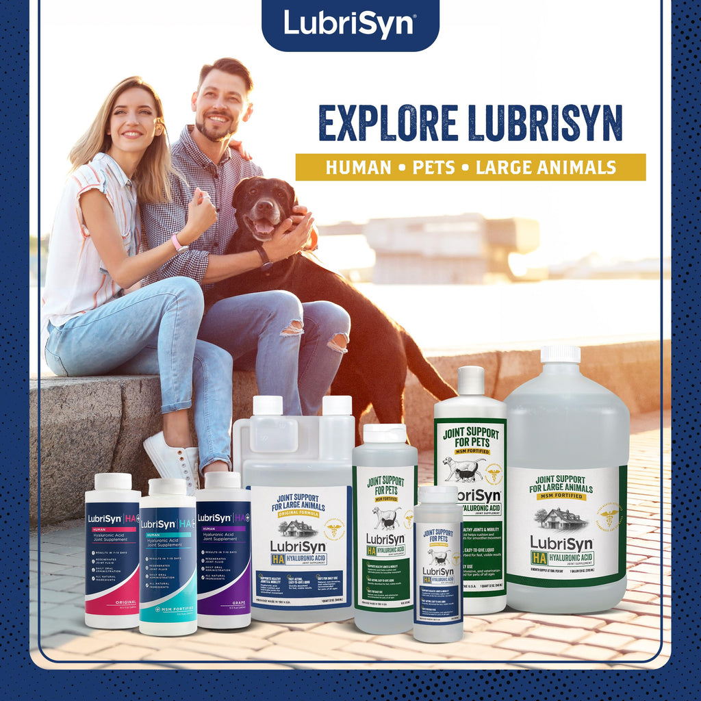 LubriSyn HA Joint Care for People Liquid Bottle