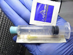 Forest Organics Lion's Mane Mushroom Culture Syringe - 10cc