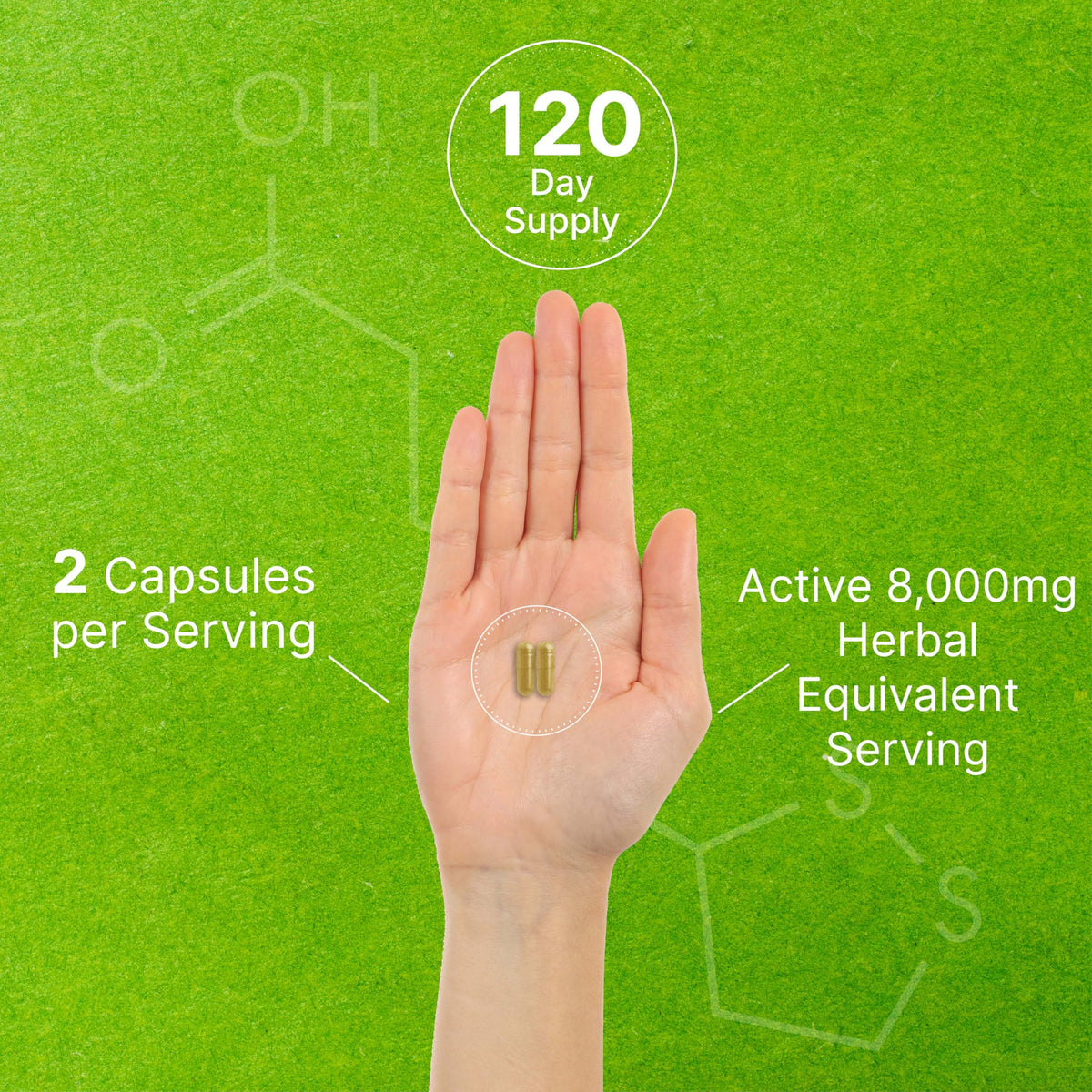 DEAL SUPPLEMENT Organic 10-in-1 Mushroom Complex - 240 Capsules - image 5
