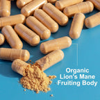Carlson - Lion's Mane