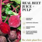 Eclectic Herb Organic Beet Juice Powder for Energy - 6 oz - image 5