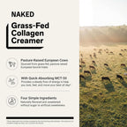 Naked Collagen Coffee Creamer - Collagen Creamer For Coffee