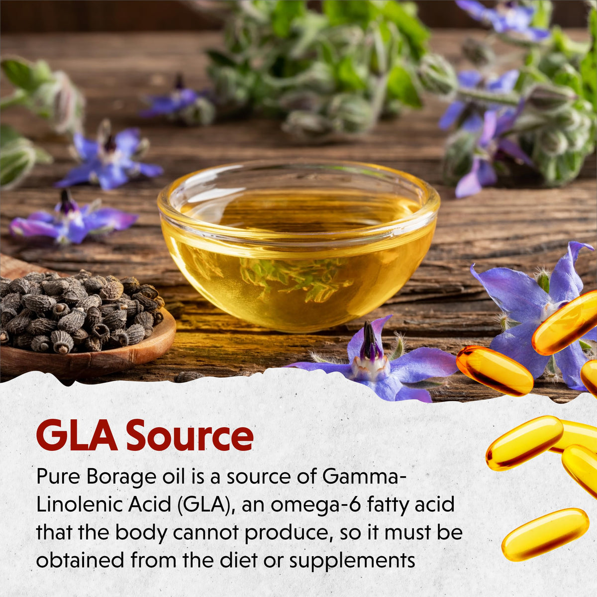 Barlean's GLA Oil Softgels