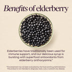 Nature's Way Sambucus Zero Sugar Traditional Immune Syrup