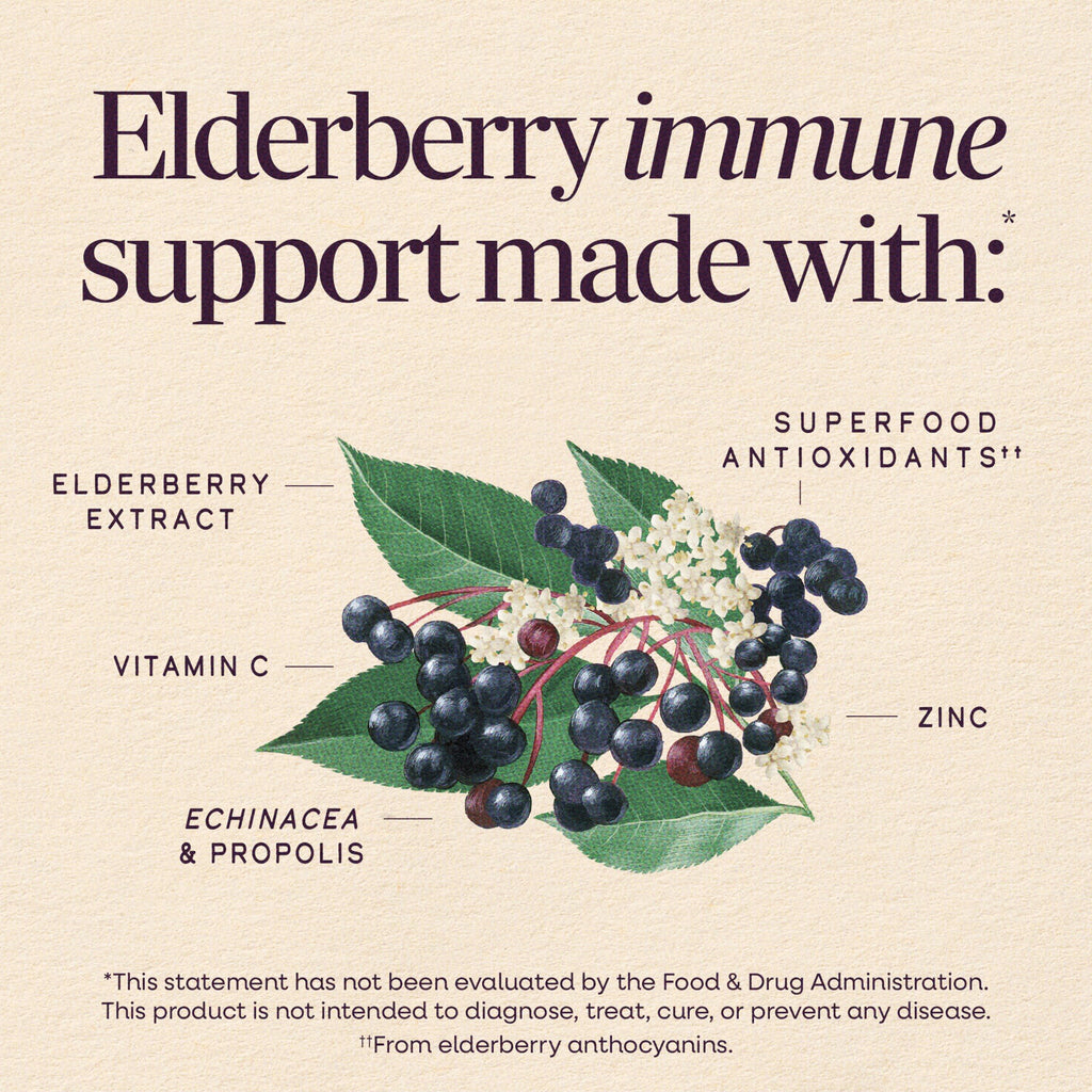 Nature's Way Sambucus Immune Elderberry Syrup with Vitamin C & Zinc - 8 Fl Oz - image 4