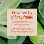 Nature's Way Chlorofresh Liquid Chlorophyll Internal Deodorant - 16 fl oz - image 4