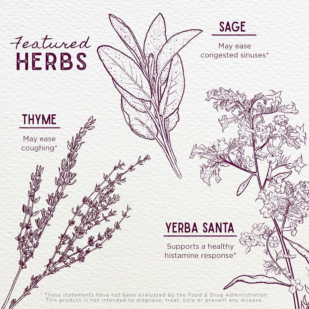 WishGarden Herbs Congestion Rescue for Kids - 2 Fl Oz - image 4