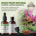 Florida Herbs Astragalus Tincture Organic Extract - 2 oz - image 3