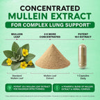 NUTRAHARMONY Mullein Lung Detox - Mullein Leaf Extract - Marshmallow