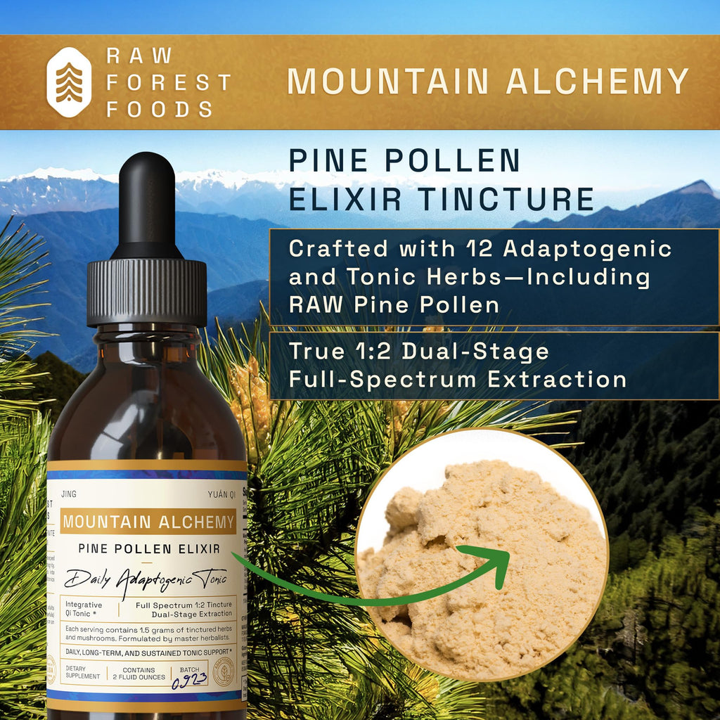 RAW Forest Foods Mountain Alchemy Pine Pollen Elixir Tincture