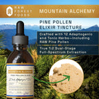 RAW Forest Foods Mountain Alchemy Pine Pollen Elixir Tincture