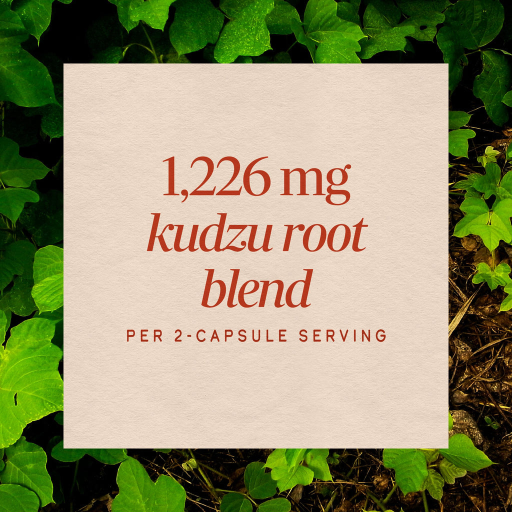 Nature's Way Kudzu Root Capsules 1,226 mg - 50 Capsules - image 4