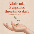 Nature's Way Echinacea Purpurea Herb Immune Support - 180 Capsules - image 5