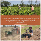 New Universe Food Organic Black Turmeric 350mg - 60 Capsules - image 6