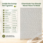 Organic Spice Resource Moringa Powder