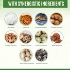 YEVANI Mushroom Supplement Immune Energy Clarity - 60 Capsules - image 5