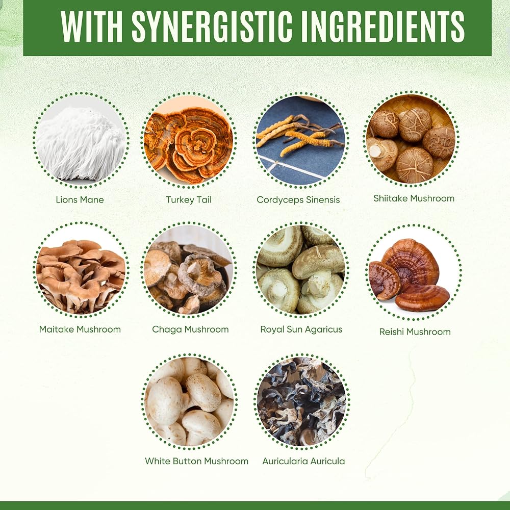 YEVANI Mushroom Supplement Immune Energy Clarity - 60 Capsules - image 5