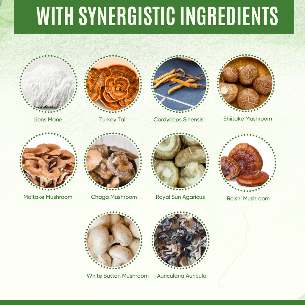 YEVANI Mushroom Supplement Immune Energy Clarity - 60 Capsules - image 5