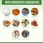 YEVANI Mushroom Supplement Immune Energy Clarity - 60 Capsules - image 5