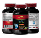 Skin Care Solution Ginkgo Biloba 120mg Extract - 60 Capsules
