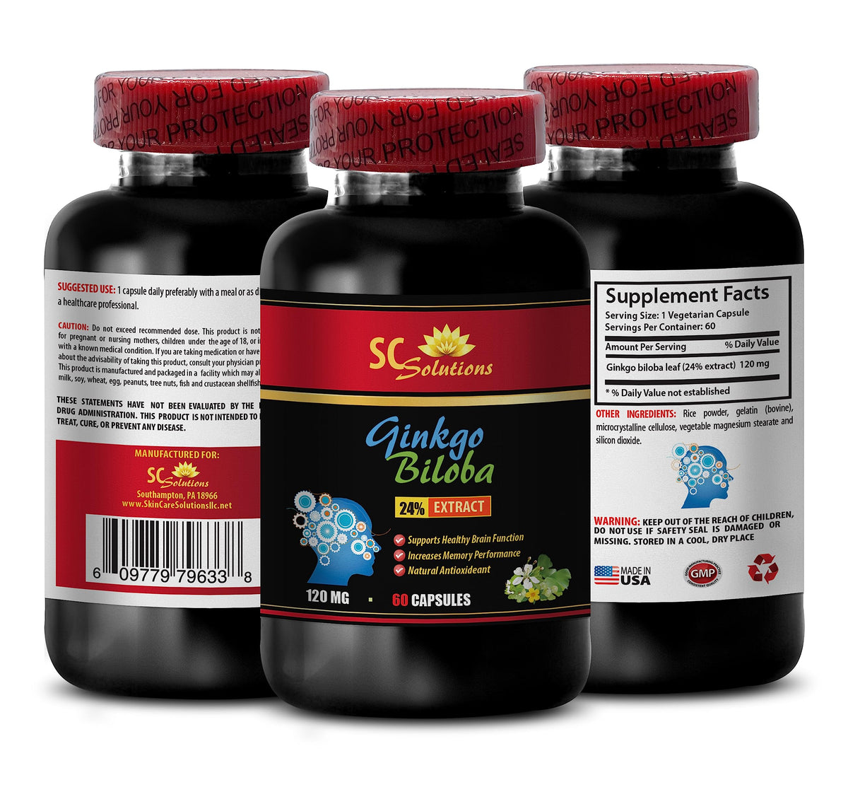 Skin Care Solution Ginkgo Biloba 120mg Extract - 60 Capsules