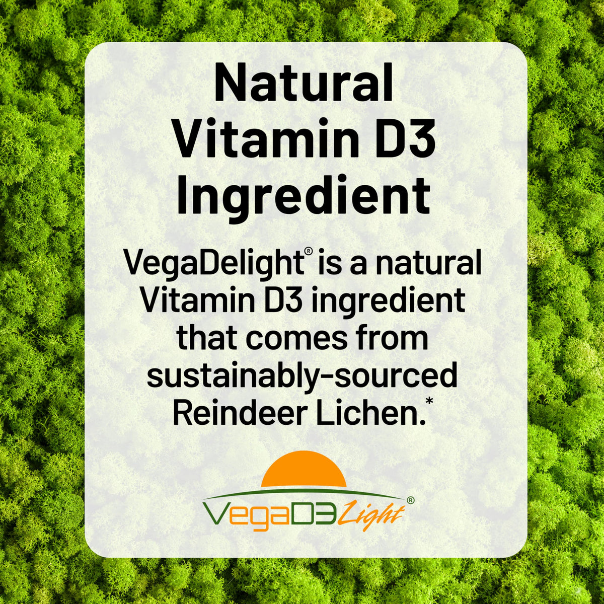 NatureWise Vegan Vitamin D3 5000 IU from Lichen - 60 Softgels - image 3