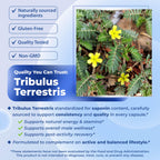 Sotalix Tribulus Complex 6-in-1 with Horny Goat Weed & Maca - 90 Capsules - image 5
