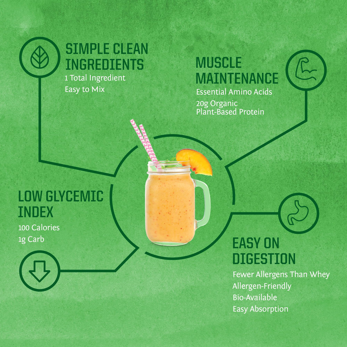 Sunwarrior SUNWARRIOR Organic Protein