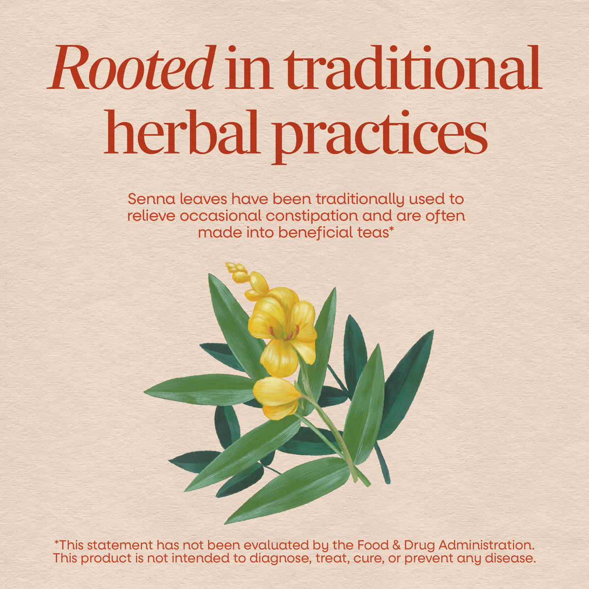 Nature's Way Senna Leaves Laxative - 100 Capsules - image 3