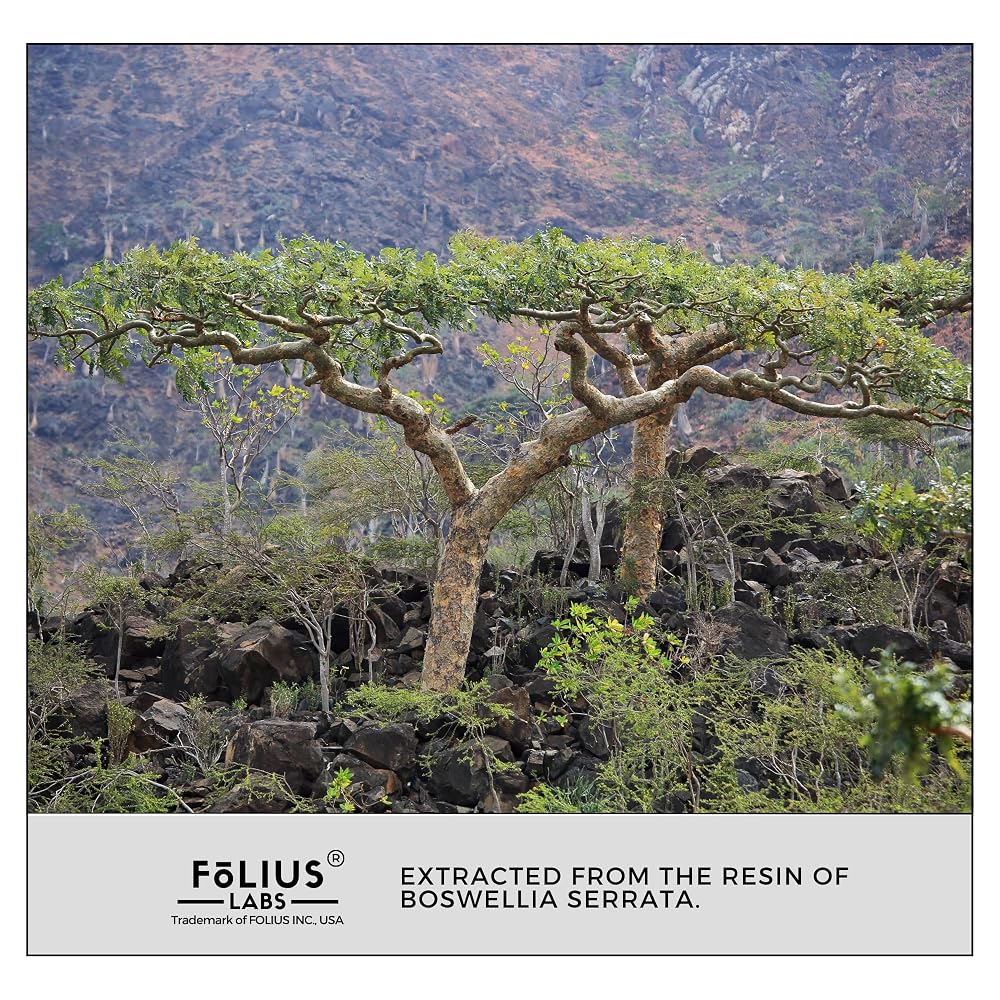 FOLIUS LABS Boswellia Serrata Extract 500mg Joint Support - image 8