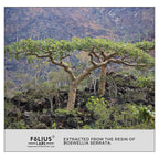 FOLIUS LABS Boswellia Serrata Extract 500mg Joint Support - image 8