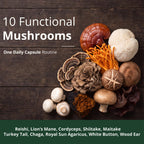 Vimerson Health 10X Mushroom Supplement Cognitive Support - 60 Capsules - image 3